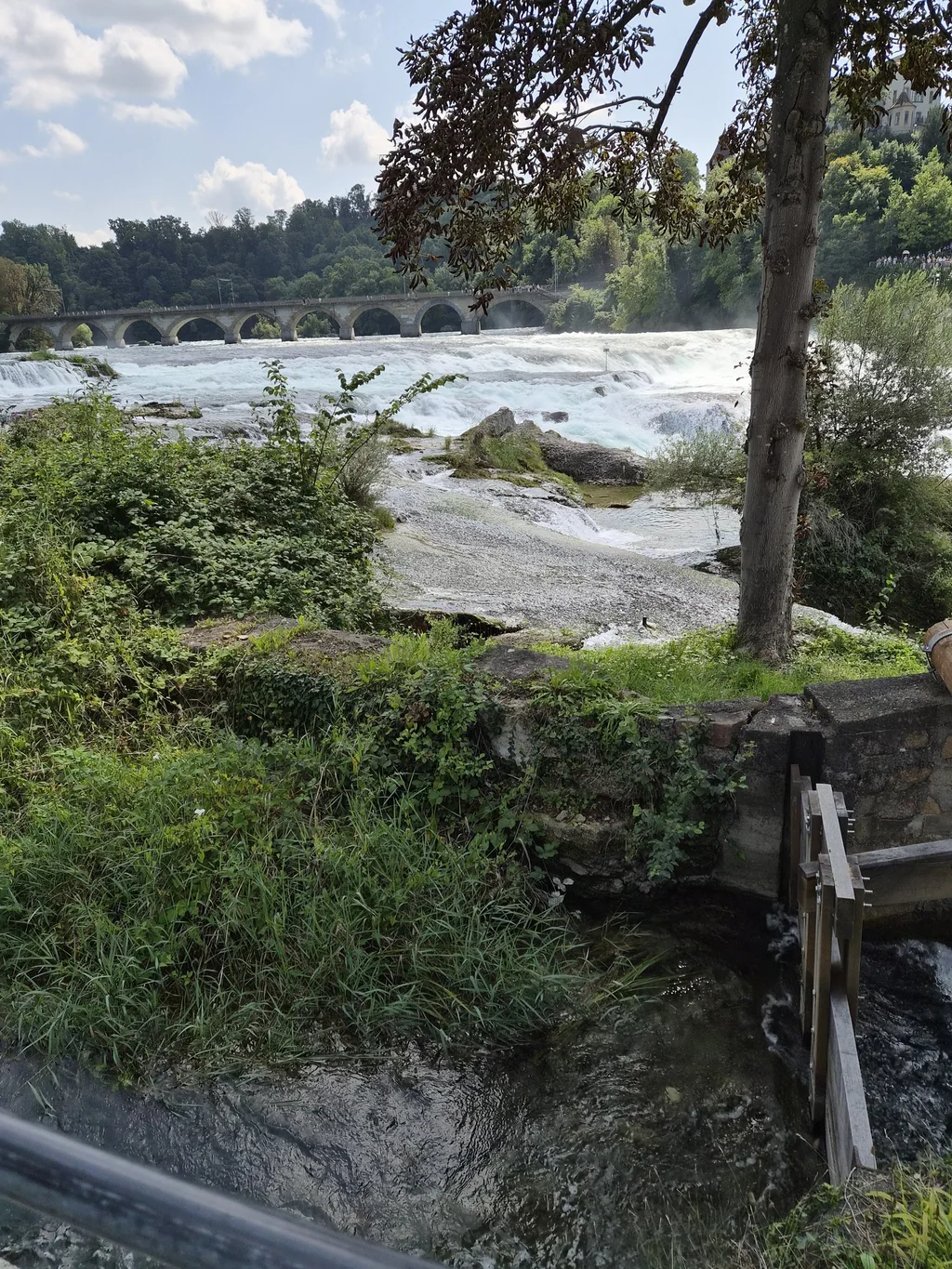 Rhine Falls cascading beside a stone bridge and wooded banks in Switzerland.